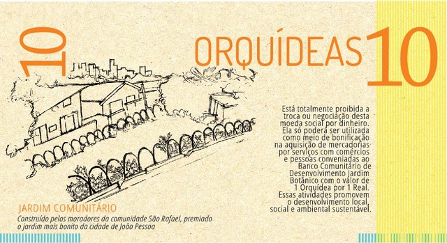 Orquidea 10  frente c 01 display